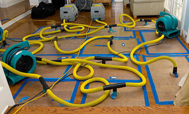 Professional Water Damage Restoration technician working in Berne, IN